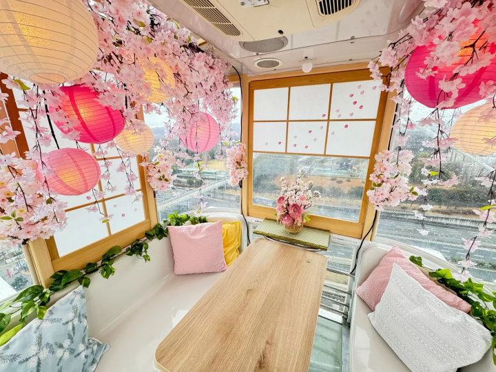 Sakura Expo 万博記念公園桜