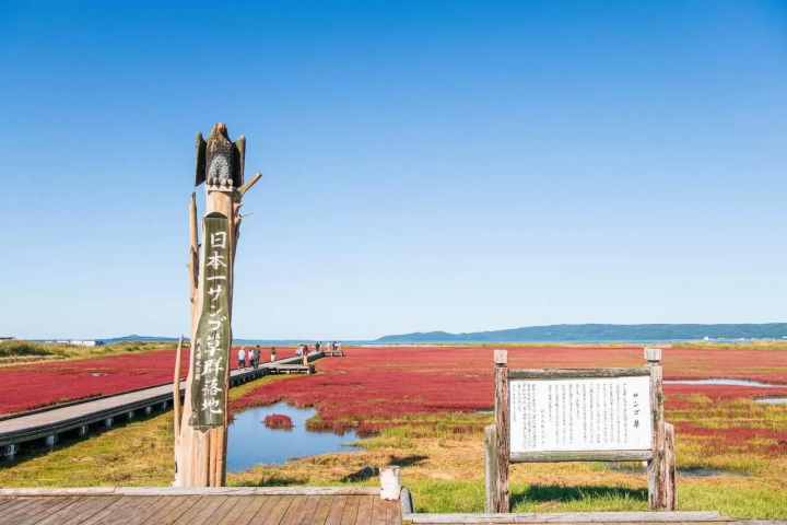 ข้อมูลท่องเที่ยวฮอกไกโดอะบาชิริ เดือนกันยายน/ตุลาคม: หญ้าปะการัง ทุ่งดอกไม้ ดอกคอสมอส ดอกทานตะวัน พายเรือคายัค