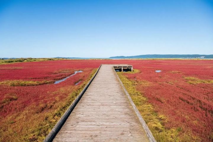ข้อมูลท่องเที่ยวฮอกไกโดอะบาชิริ เดือนกันยายน/ตุลาคม: หญ้าปะการัง ทุ่งดอกไม้ ดอกคอสมอส ดอกทานตะวัน พายเรือคายัค