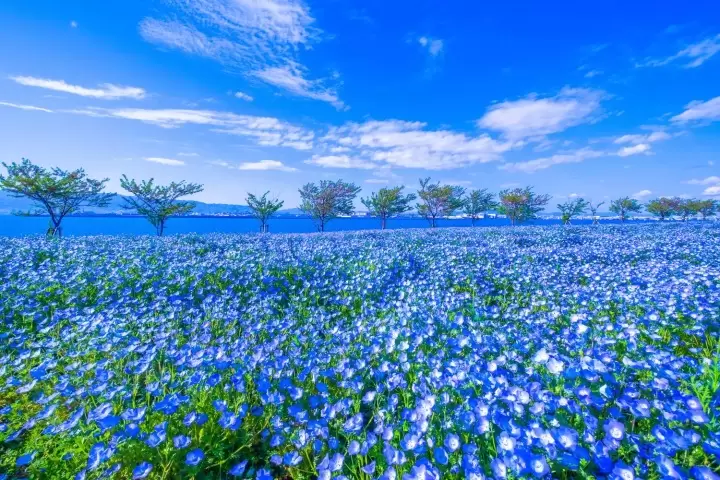 Osaka Maishima Seaside Park