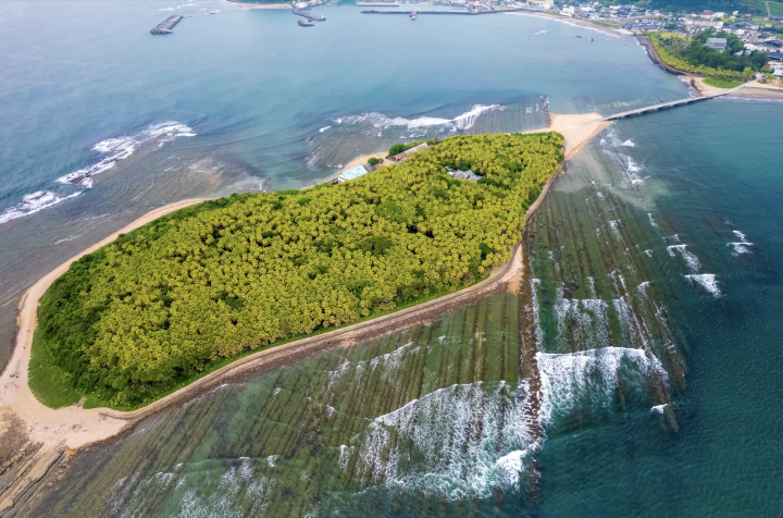 เที่ยวรอบมิยาซากิ! เพลิดเพลินไปกับเสน่ห์ของ 3 ภูมิภาคในการเดินทางอันเป็นเอกลักษณ์รอบ ๆ ทาคาจิโฮ โนเบโอกะ และมิยาซากิ!