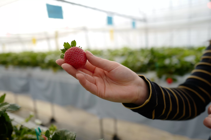 เที่ยวรอบมิยาซากิ! เพลิดเพลินไปกับเสน่ห์ของ 3 ภูมิภาคในการเดินทางอันเป็นเอกลักษณ์รอบ ๆ ทาคาจิโฮ โนเบโอกะ และมิยาซากิ!