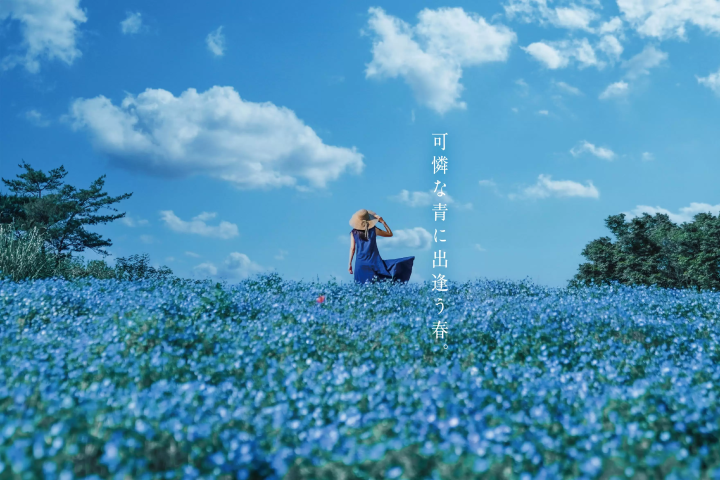 Flower Festival 2025