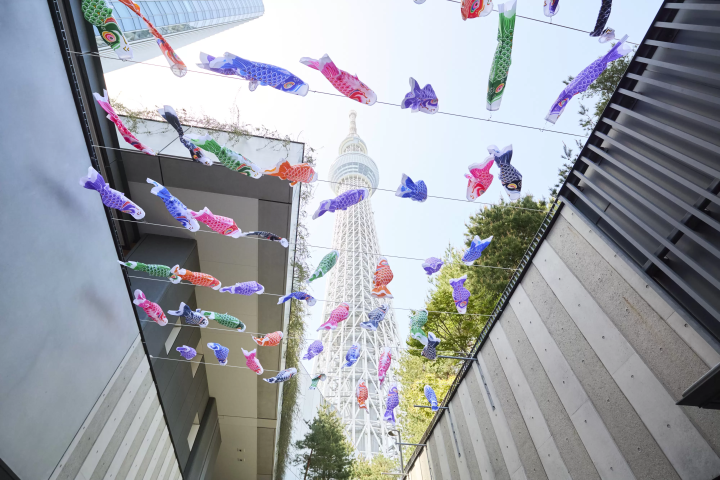 Koinobori Festival 2025
