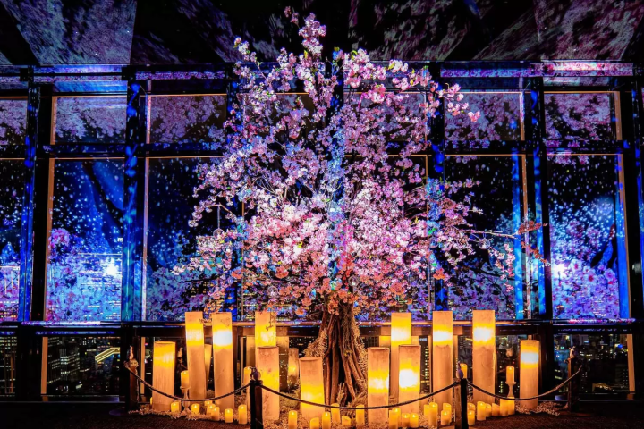 Tokyo Tower: TOKYO TOWER CITY LIGHT FANTASIA - Spring Concerto 2025 -