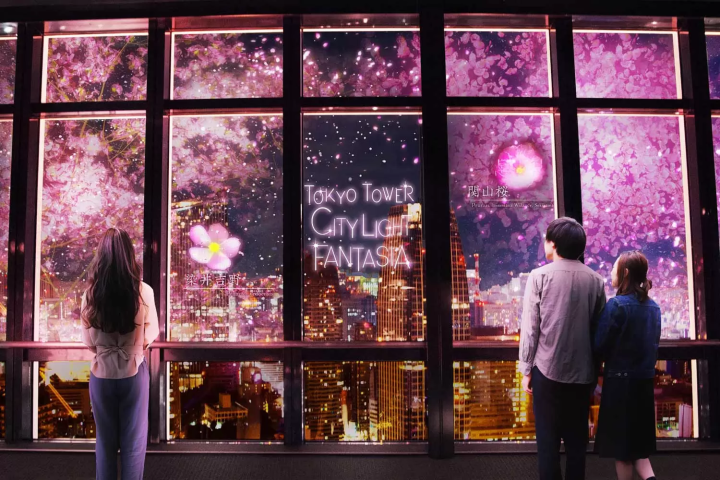 Tokyo Tower: TOKYO TOWER CITY LIGHT FANTASIA