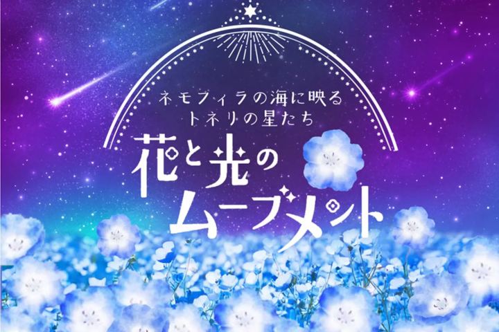 Toneri Park: Flower and Light Movement