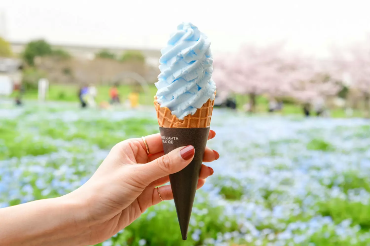 Toneri Park: Flower and Light Movement