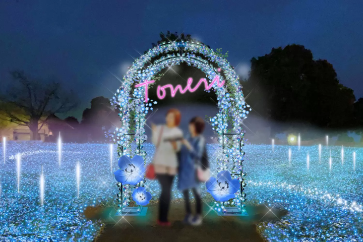 Toneri Park: Flower and Light Movement