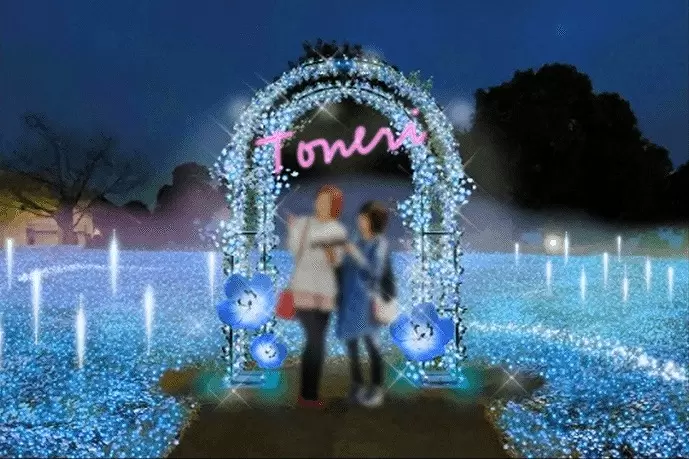 Tokyo's Toneri Park: Flower and Light Movement Event Blooms This Spring!