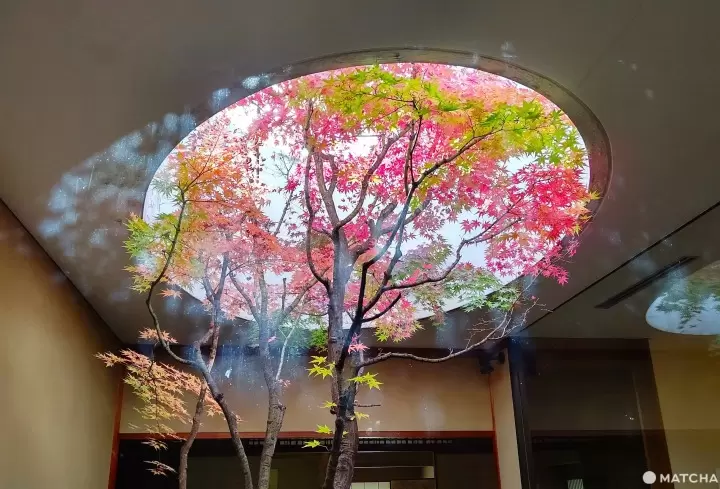 Kahitsukan - Kyoto Museum of Contemporary Art