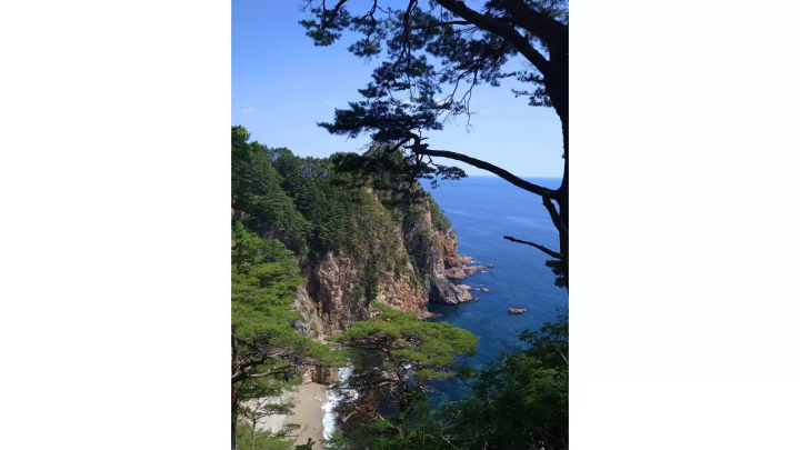 [เส้นทาง Michinoku Sea Breeze] ฉันได้เข้าร่วม "Double Cliff Challenge Tour" ที่ หมู่บ้านทาโนฮาตะ จังหวัดอิวาเตะ