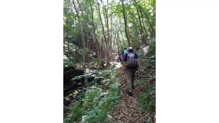 [เส้นทาง Michinoku Sea Breeze] ฉันได้เข้าร่วม "Double Cliff Challenge Tour" ที่ หมู่บ้านทาโนฮาตะ จังหวัดอิวาเตะ