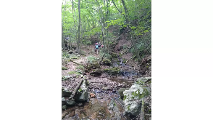 [เส้นทาง Michinoku Sea Breeze] ฉันได้เข้าร่วม "Double Cliff Challenge Tour" ที่ หมู่บ้านทาโนฮาตะ จังหวัดอิวาเตะ