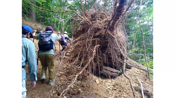 [เส้นทาง Michinoku Sea Breeze] ฉันได้เข้าร่วม "Double Cliff Challenge Tour" ที่ หมู่บ้านทาโนฮาตะ จังหวัดอิวาเตะ