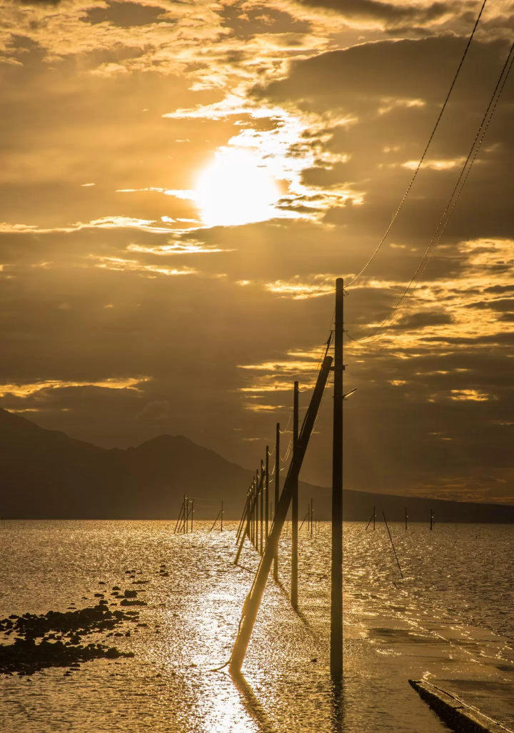从阿苏熊本机场出发！天草2天1夜岛屿之旅（世界遗产、海豚观赏）