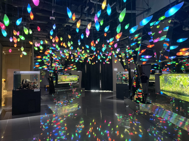 Enjoy the Latest Trends and Local Charms in Hyogo with the JR-WEST RAIL PASS