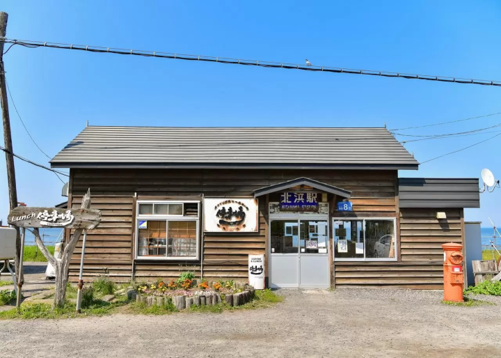 Hokkaido Abashiri July tourist information: Koshimizu Wild Flower Park, flower fields, sunflowers, cycling