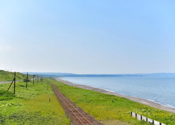 Hokkaido Abashiri July tourist information: Koshimizu Wild Flower Park, flower fields, sunflowers, cycling
