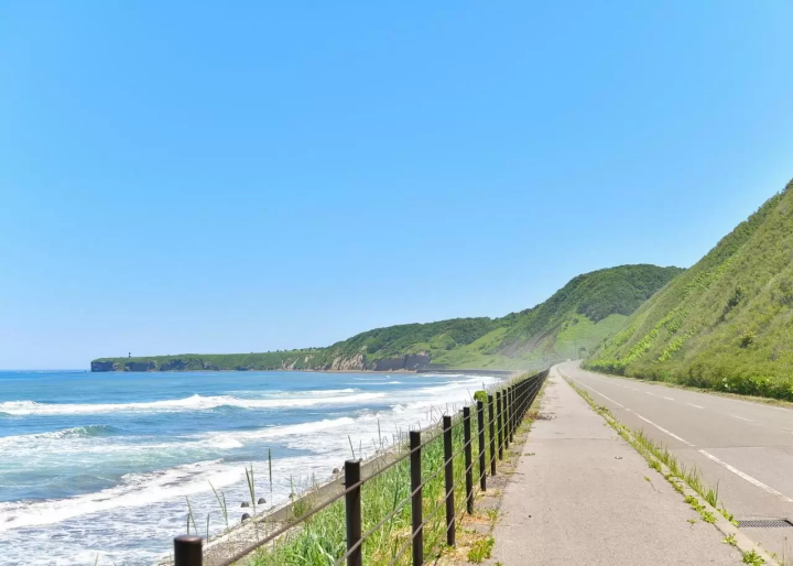 Hokkaido Abashiri July tourist information: Koshimizu Wild Flower Park, flower fields, sunflowers, cycling