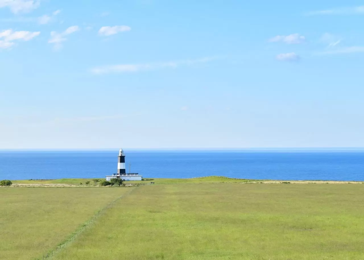 Hokkaido Abashiri July tourist information: Koshimizu Wild Flower Park, flower fields, sunflowers, cycling