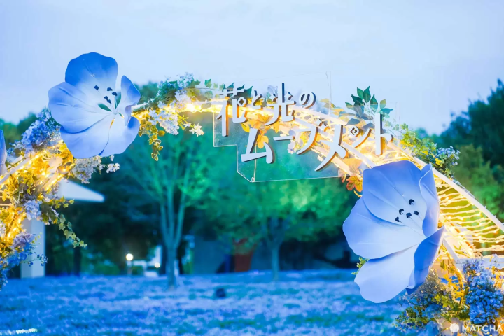 舎人公園で「花と光のムーブメント」