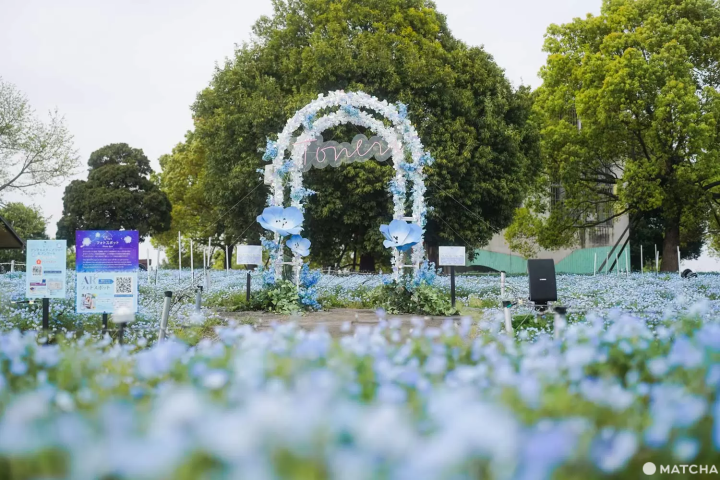 舎人公園で「花と光のムーブメント」
