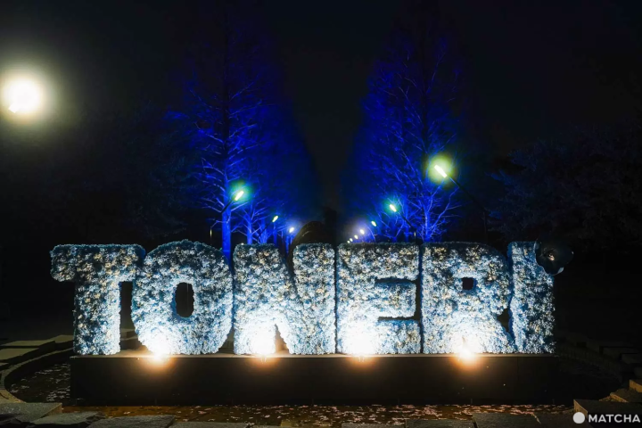 紺碧の花（噴水周辺）