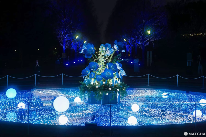 紅掛空の時（噴水周辺・流れ