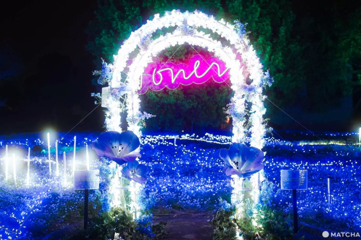 フォトスポット（芝生広場）