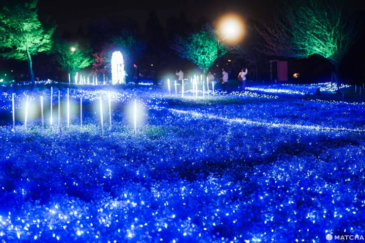 フォトスポット（芝生広場）