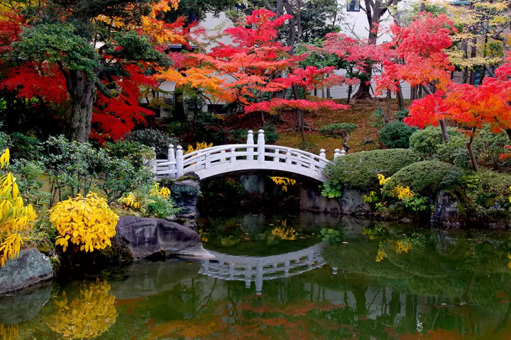 A special place found in Tokyo's "downtown" that's not in the guidebook