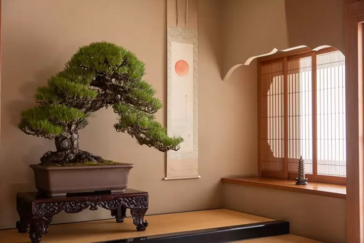 Bonsai experience in Tokyo