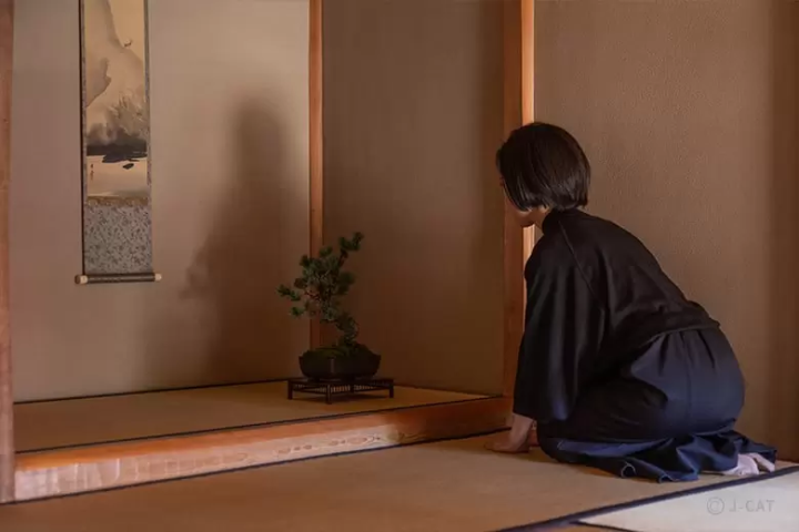 Bonsai experience in Tokyo