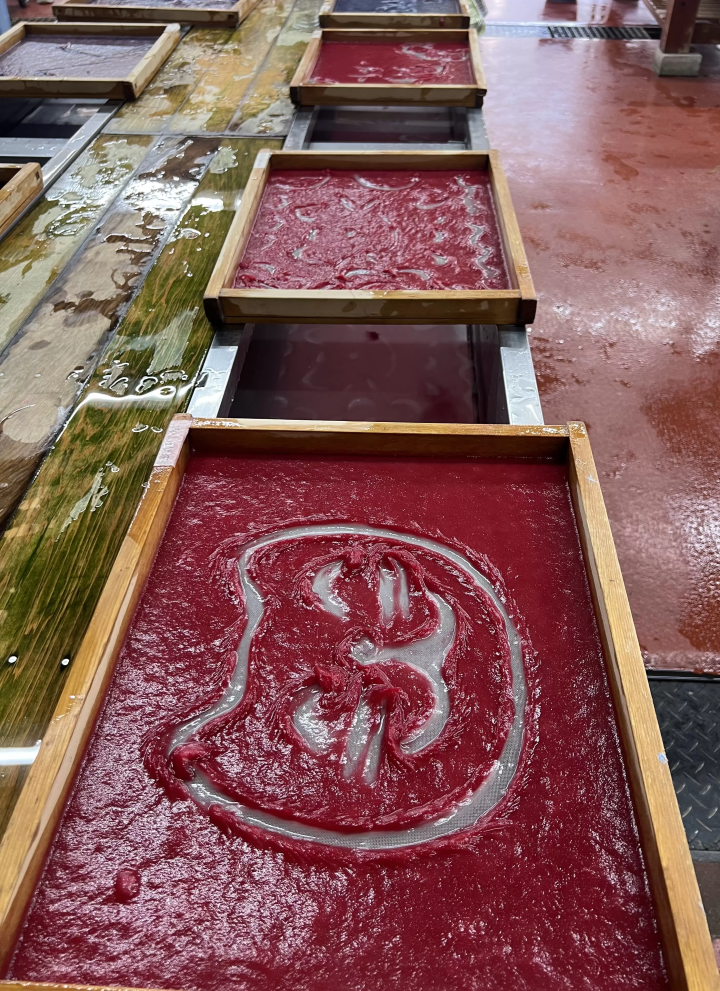 พบกับเสน่ห์ของเมืองโอบาระ เมืองแห่งซากุระตามฤดูกาลและกระดาษวาชิ③