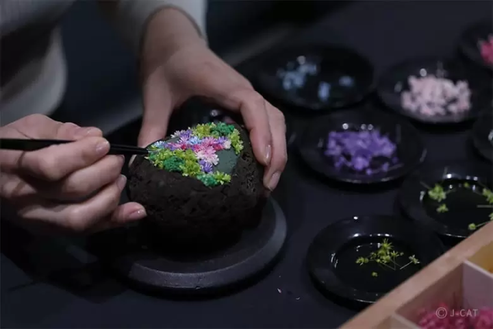 Ikebana and Bonsai: 10 Cultural Experiences for Nature Enthusiasts