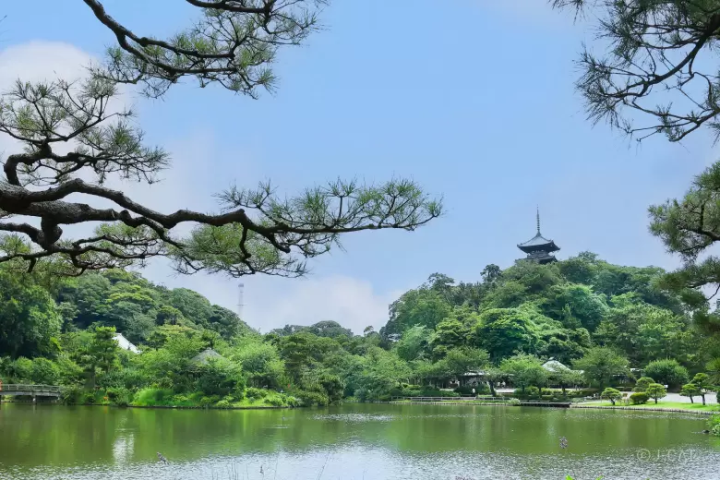 Ikebana and Bonsai: 10 Cultural Experiences for Nature Enthusiasts