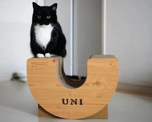 Nyanko Expo 2025 Osaka