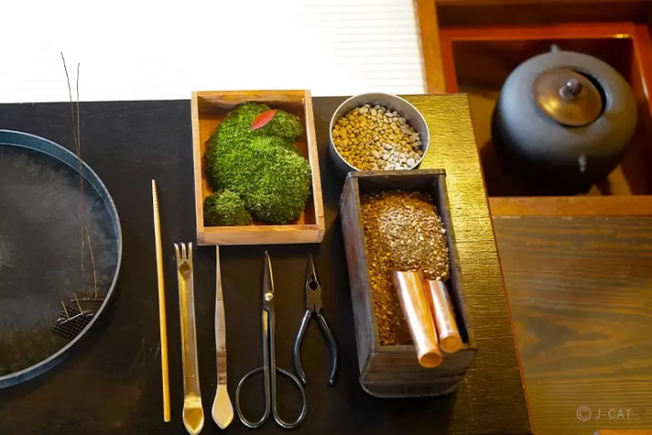 Ikebana and Bonsai: 10 Cultural Experiences for Nature Enthusiasts