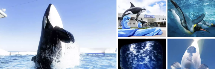 鴨川シーワールド 