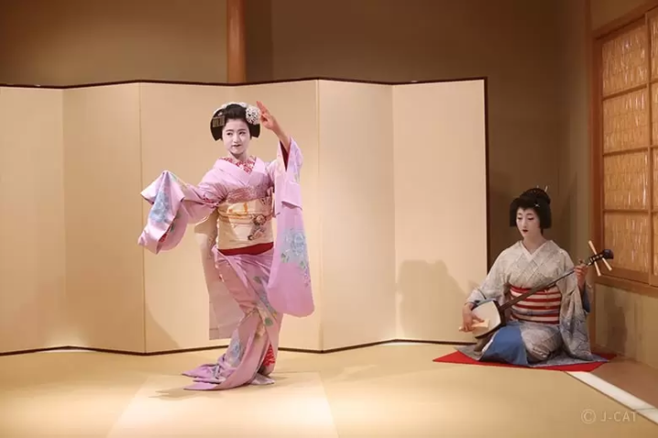 Geisha entertainment in Kyoto