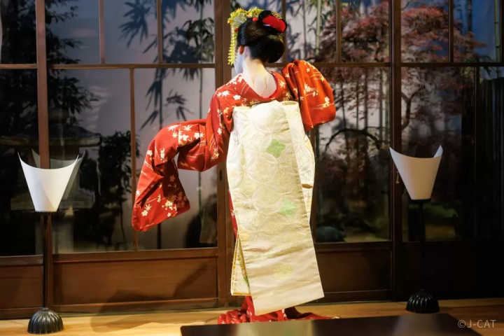 Tea and Maiko Entertainment in Kyoto