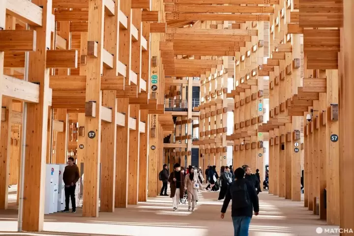 大阪萬博2025指南 造訪心得與購票方法