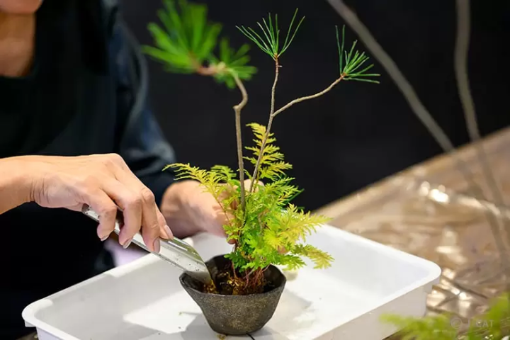 10 Refined Cultural Experiences in Kanazawa