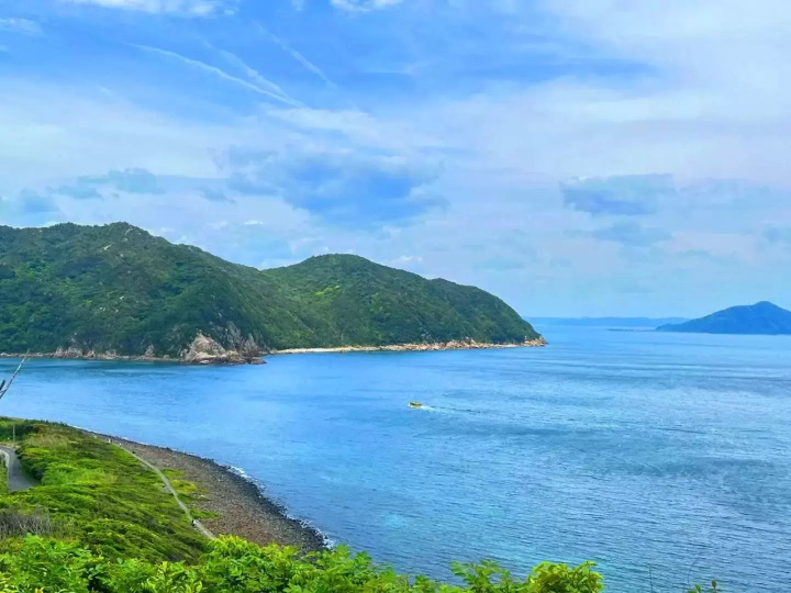 芥屋の大門公園(トトロの森)