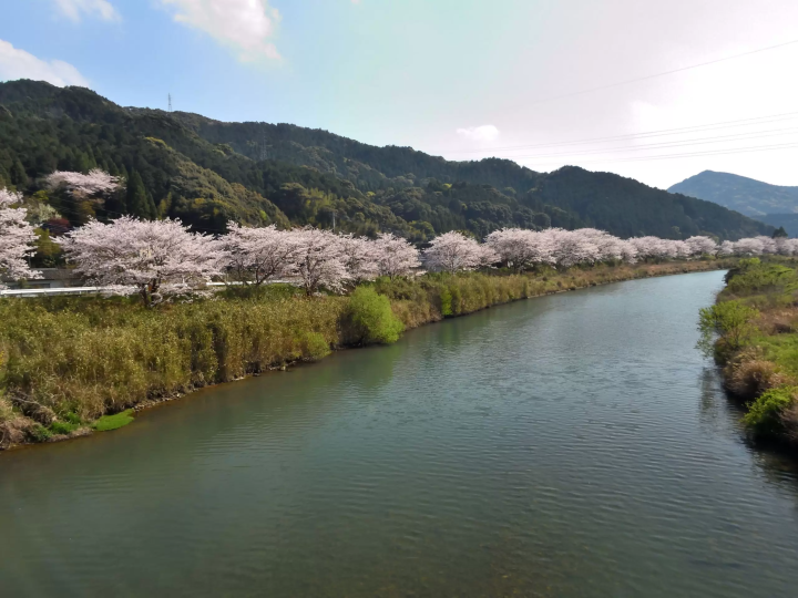 如果你来日本，不看这个风景，你就错过了！天草岛的魅力景点汇总