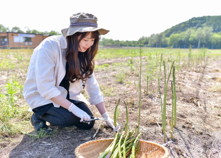 北海道網走 5 月/6 月旅遊資訊：石竹、鯨魚、大閘蟹、騎自行車