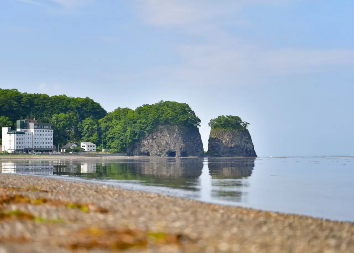 北海道網走 5 月/6 月旅遊資訊：石竹、鯨魚、大閘蟹、騎自行車