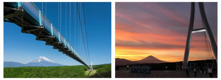 Mishima Skywalk Hydrangea Festival 2025