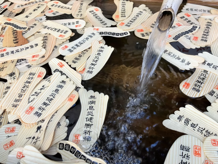 [2025]京都的夏季节日和传统活动：从祇园祭到风铃节！